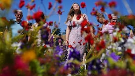 ‘My carrots aren’t going to be happy when I get back’: Bloom gardeners fear effects of dry spell