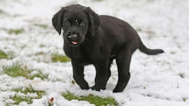 Icy conditions as status yellow weather warning in place