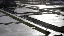 Irish Water fined over ‘toxic’ impact on fish and aquatic life