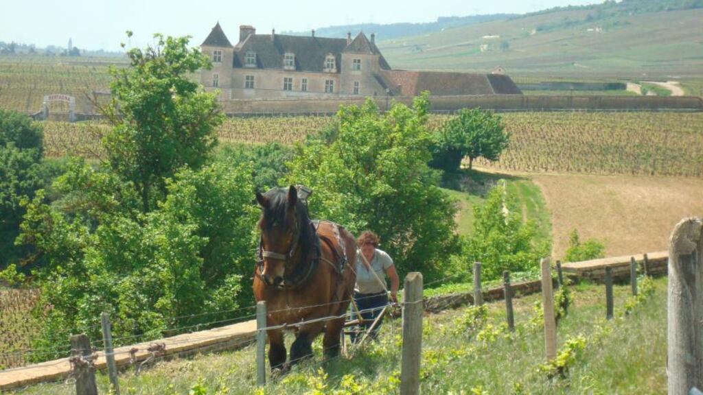 They inhabit a stunningly beautiful country, with the world’s finest food and wine. And they’re unhappy.