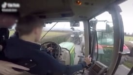 TikTok investigates ‘alarmingly immature’ farm stunt videos