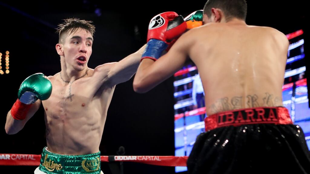 Michael Conlan during his first professional fight against Tim Ibarra. Photo: Tom Hogan/Inpho