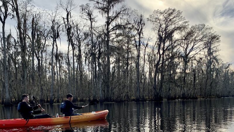 Kayaking in the New Orleans swamps: the waters were calm and ideal for beginners