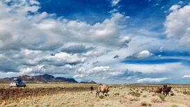 From Newbridge to Russia in a Micra, three Irish men finish Mongol Rally