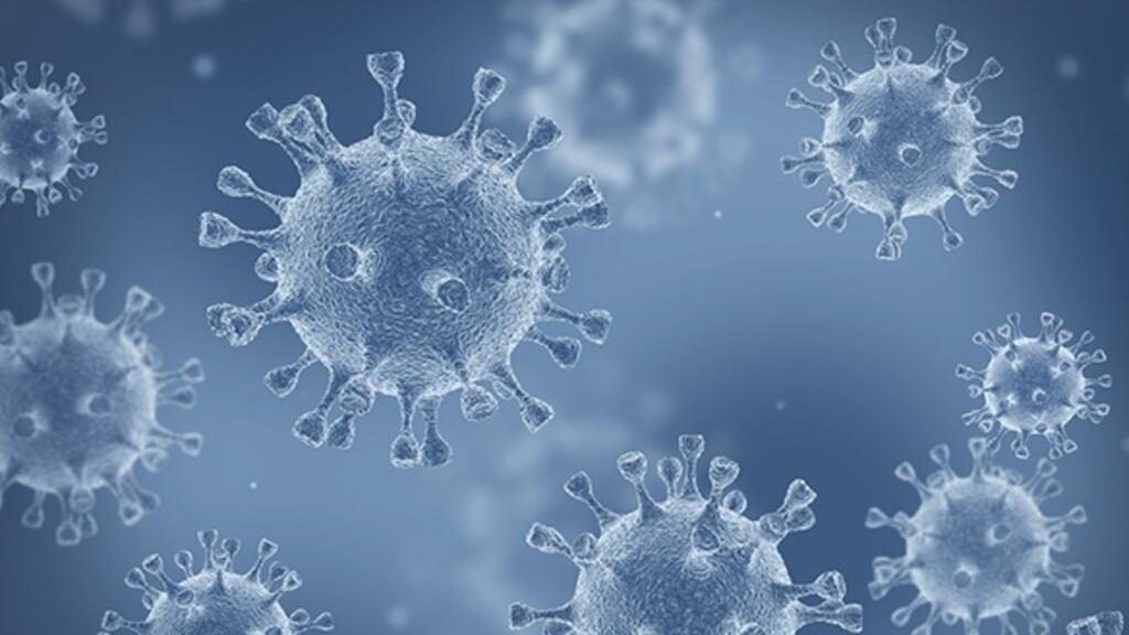 The Northern Ireland Statistics and Research Agency (Nisra) reported 38 deaths linked to Covid-19 in its latest weekly update