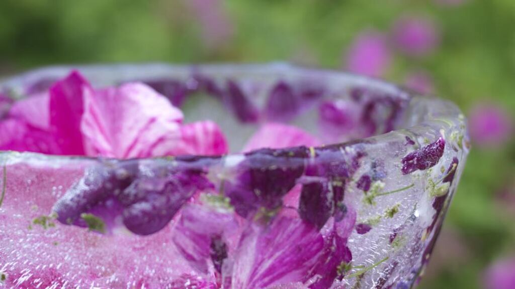 Bring the garden into the kitchen by making an ice-bowl in which to serve chilled food. Photograph: Richard Johnston