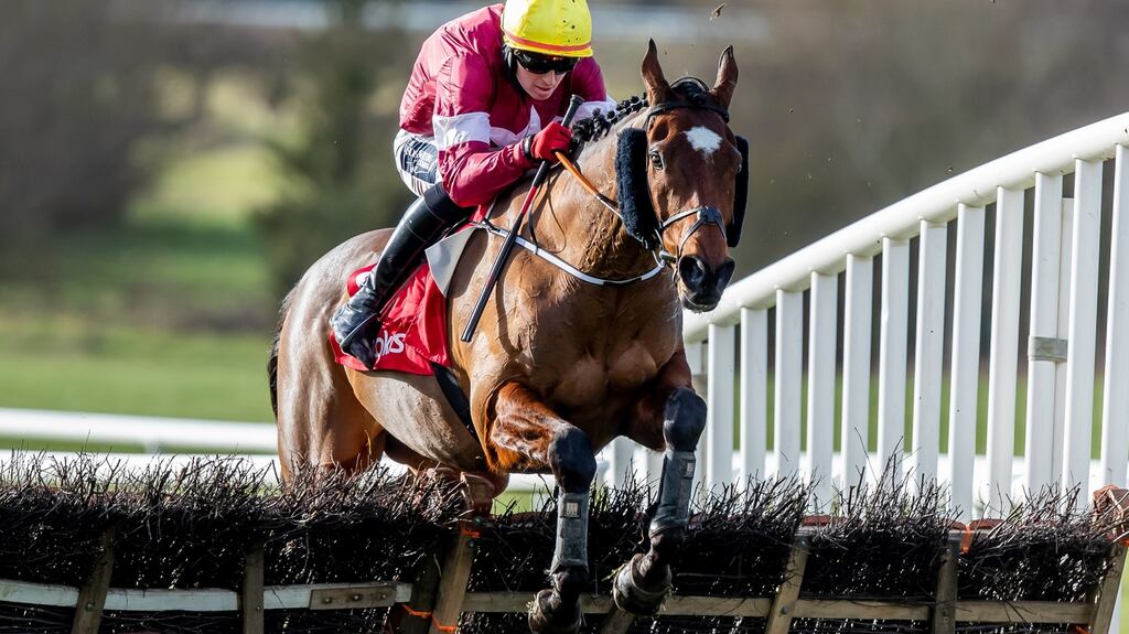 Tiger Roll: The 11-year-old bounced back to winning ways with an incredible fifth victory at the Cheltenham Festival last week. Photograph: Morgan Treacy/Inpho