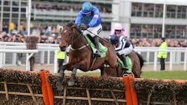 Hurricane Fly impossible to oppose