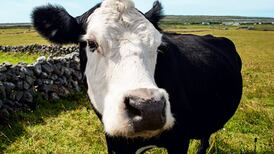 EU emissions  target for State ‘inappropriate’, says Minister