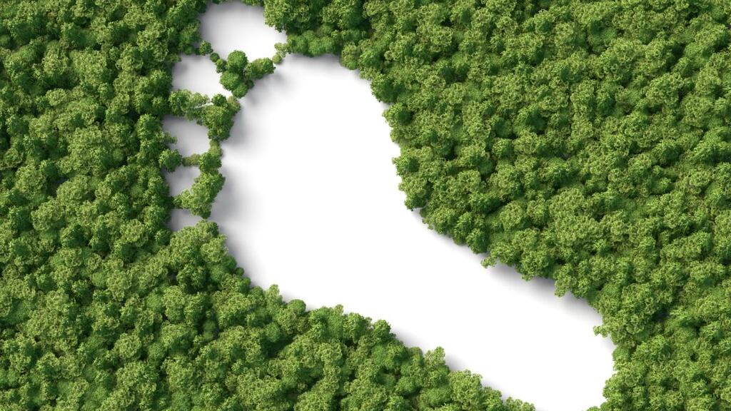 The richest 10 per cent of the Irish population emit nearly as much as the bottom 50 per cent. Image: iStock