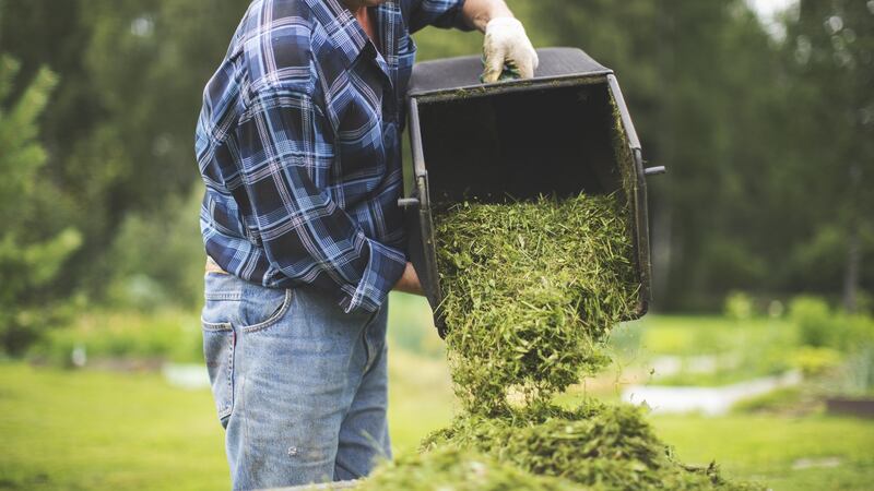 Grass clippings  can go into the food waste bin. If you’ve loads, bring it to your local recycling centre. Photograph: iStock