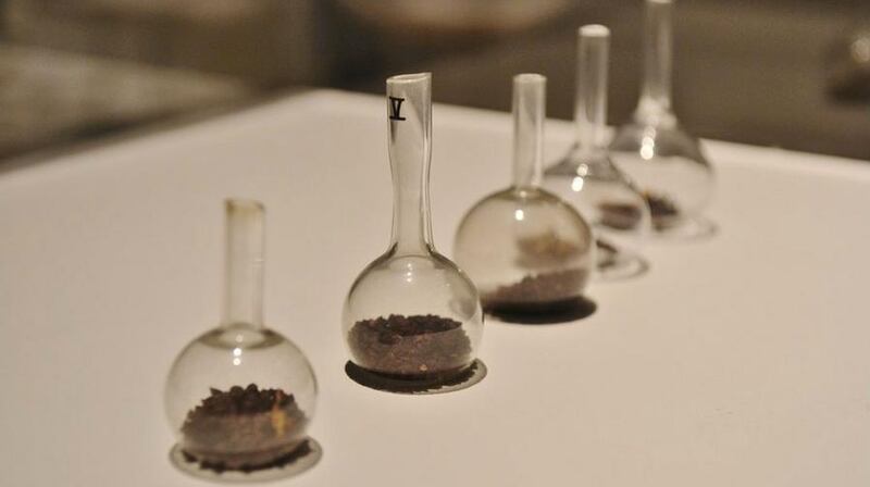 Siobhan McDonald, A Space and Time Outside: seeds from Franklin’s 1825 expedition