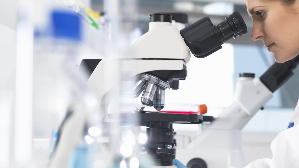 ‘Comparing data from 2019 with 2020 we are seeing a global reduction of up to 92 per cent in cancer screening.’ Photograph: Rafe Swan/Cultura/Getty Images