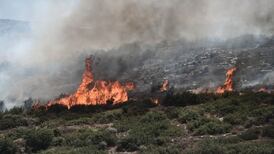 Justine McCarthy: Reforming our garbled VAT system would be a good start in the fight against climate change