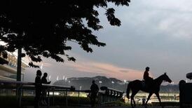 Vet’s defamation actions must  be joined together, says judge