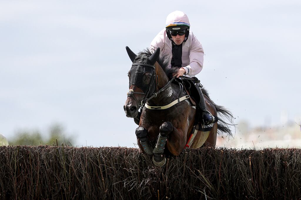 Sole Pretender winning at the Galway Festival back in July. Photograph: Laszlo Geczo/Inpho