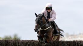 Michael O’Sullivan bids to continue big-race winning streak in Cheltenham feature