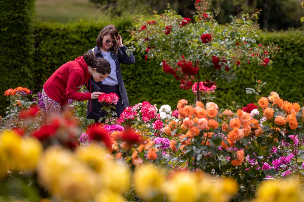 The National Botanic Gardens, Glasnevin, Dublin - a mecca for gardeners: Photo: Tom Honan for The Irish Times.