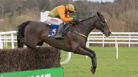 Dynaste and  Meade’s Texas Jack to run in Jewson at Cheltenham