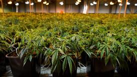 Getting high on your own water supply