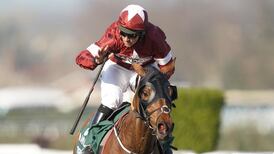 HRI not ruling out ban on overseas travel for Irish-trained horses