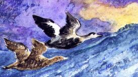 Another Life: Sea-level debate heats up as Greenland’s ice melts