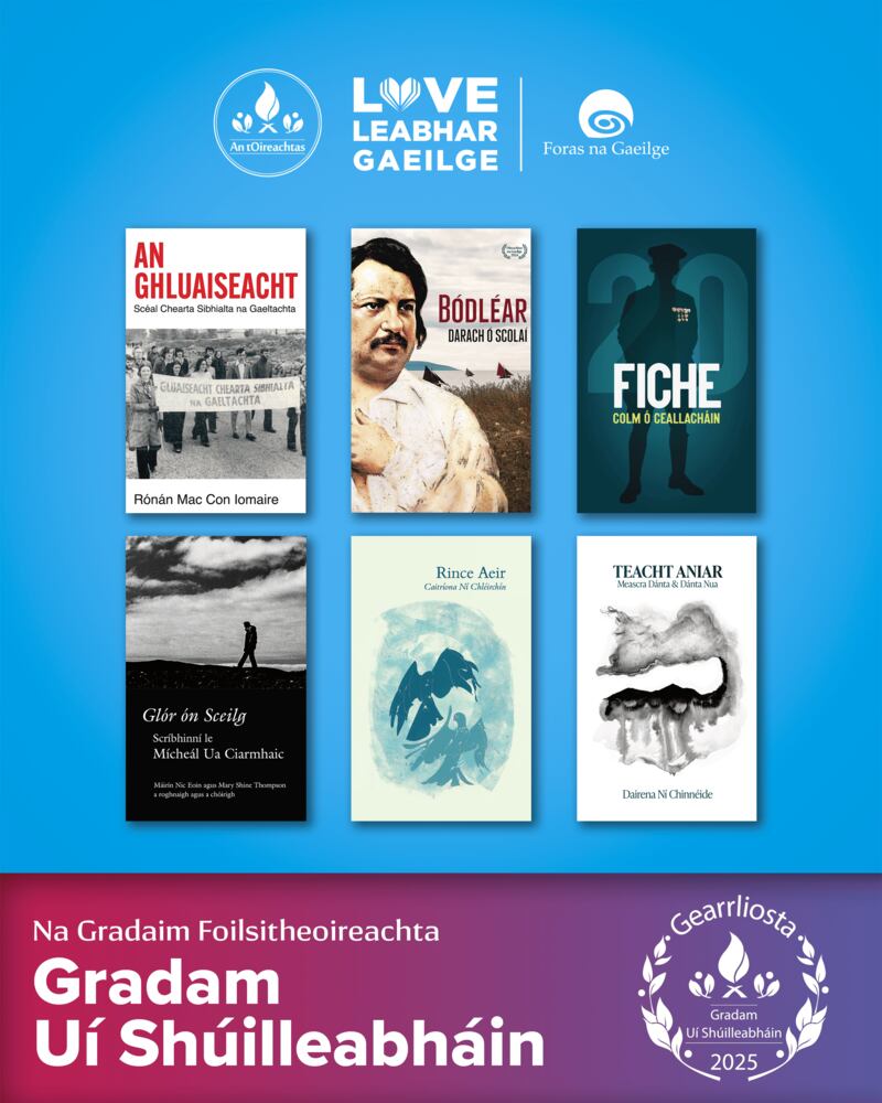 Gradam Uí Shúilleabháin 2025