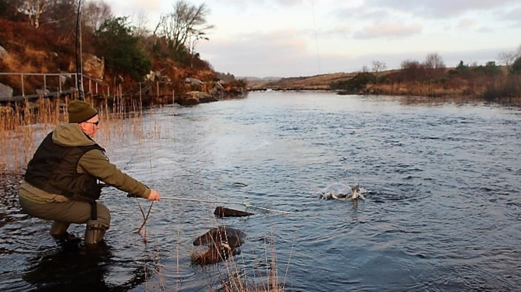 Throughout the 2021 season, 83 rivers will open for salmon angling