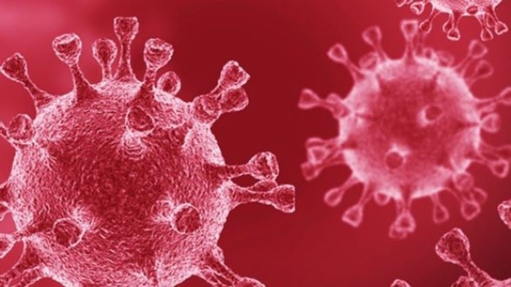 More than 70 per cent of the population, including older children, will need to be immunised to achieve population or herd immunity and thereby prevent transmission of the virus. Photograph: Paul Scott