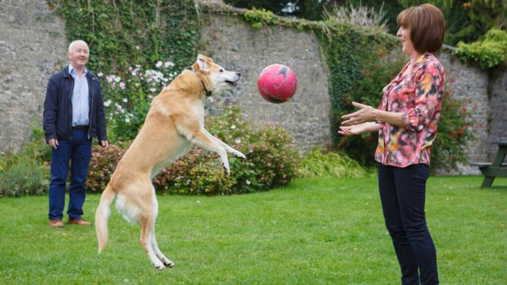 Caroline Allen with husband Martin and Lucy the dog. Photograph: Jeff Harvey