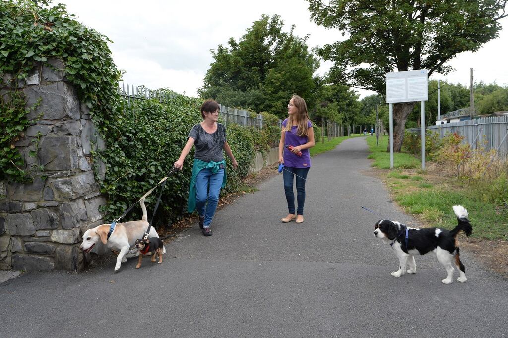 Mount Bernard Park near Phibsborough. Photograph: Cyril Byrne