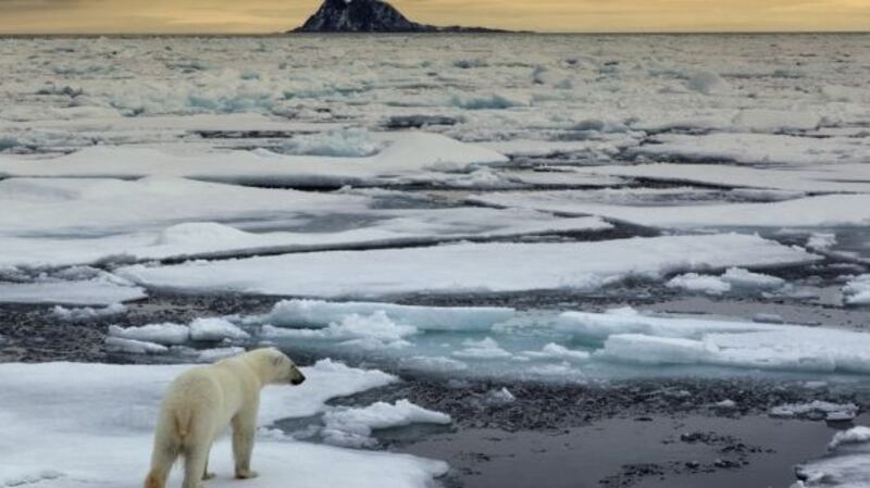 The environment is not new but it is front and centre now in a way it most certainly wasn’t a decade ago. Photograph: Getty Images/Stockphoto
