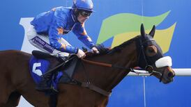 Vicente wins Scottish National as  Nicholls goes ahead of Mullins