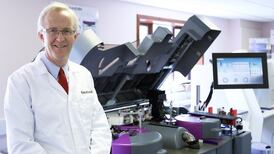 Life after the EU: how Northern businesses are responding