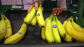 Pretax profits at Fyffes up 25.3% last year to €39m