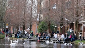 Covid-19: New challenges for Ireland’s response in ‘year of the variant’