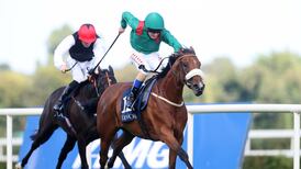 Ascot’s Champions Day countdown once again set to be dominated by weather outlook