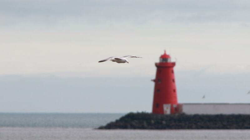 Poolbeg Lighthouse in Dublin Bay. Photograph: Nick Bradshaw for The Irish Times