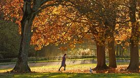 It’s a walk in the park: Dubs get exercised over digital dollars