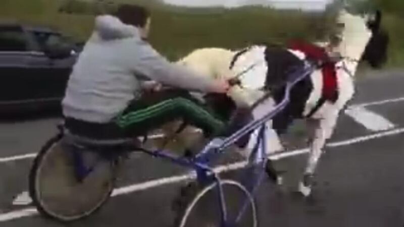 At various stages, incoming cars had to swerve on to their hard shoulders to avoid the sulkys or the cars following them and at one stage, one of the vans following the race had to swerve on to the incorrect hard shoulder to narrowly avoid being hit by an oncoming articulated lorry. Photograph: Youtube