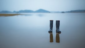 Russian Doll is hot, seaweed snacks are not