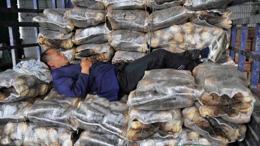 A vendor waits for customers at a vegetable wholesale market in Hefei, Anhui province: China’s economic slowdown is delaying investment in the country. photograph: reuters
