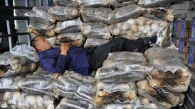 US companies slow investment in China