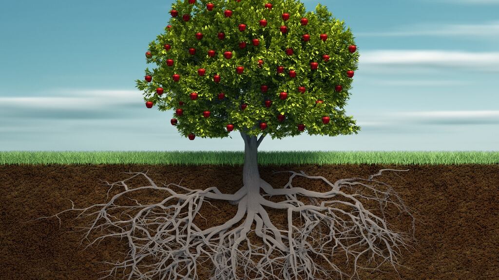 There are numerous funding options available to management to grow their businesses