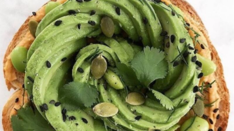 Avocado overload. Enough already