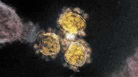 Scientists uncover biological signatures of the worst Covid-19 cases