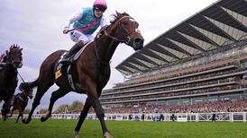 Tom Queally set to ride over jumps at Limerick on St Stephen's Day