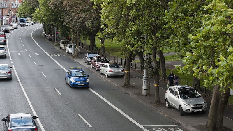 62 trees lining the roadway at Fairview Park are earmarked for felling. Photograph: Dave Meehan