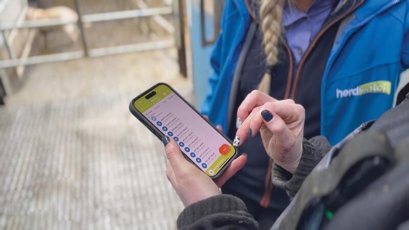 Herdwatch member Louise Crowley using the Herdwatch app