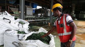 Cobalt’s supply shock a painful warning to electric carmakers